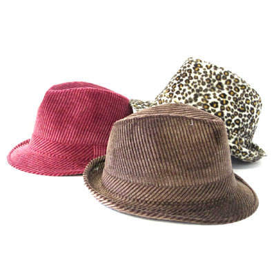 Winter Trilby Hat